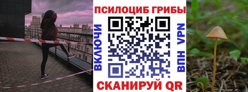 Псилоцибиновые грибы мицелий  Балахна 