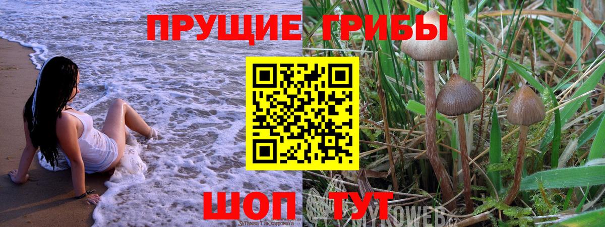 Балахна  Галлюциногенные грибы GOLDEN TEACHER  Вход с VPN 