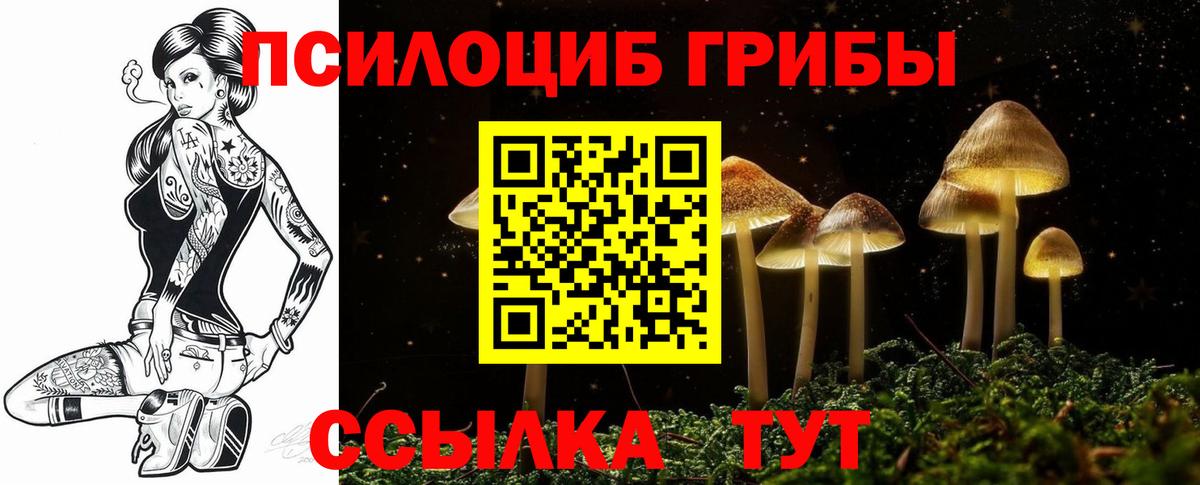 Галлюциногенные грибы MAGIC MUSHROOMS  Балахна  Галлюциногенные грибы мицелий 